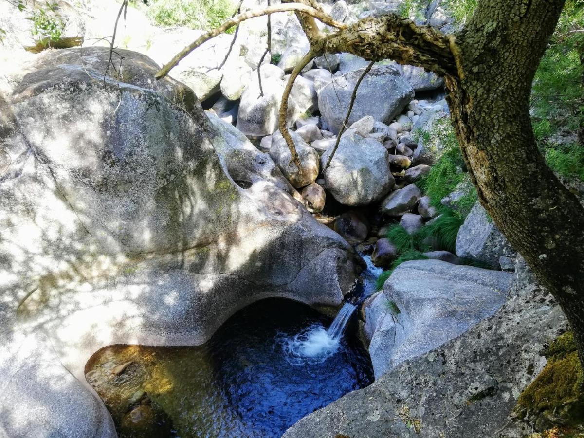 Cortes do Meio Casa Do Fundo Do Povo - Serra Da Estrelaヴィラ エクステリア 写真