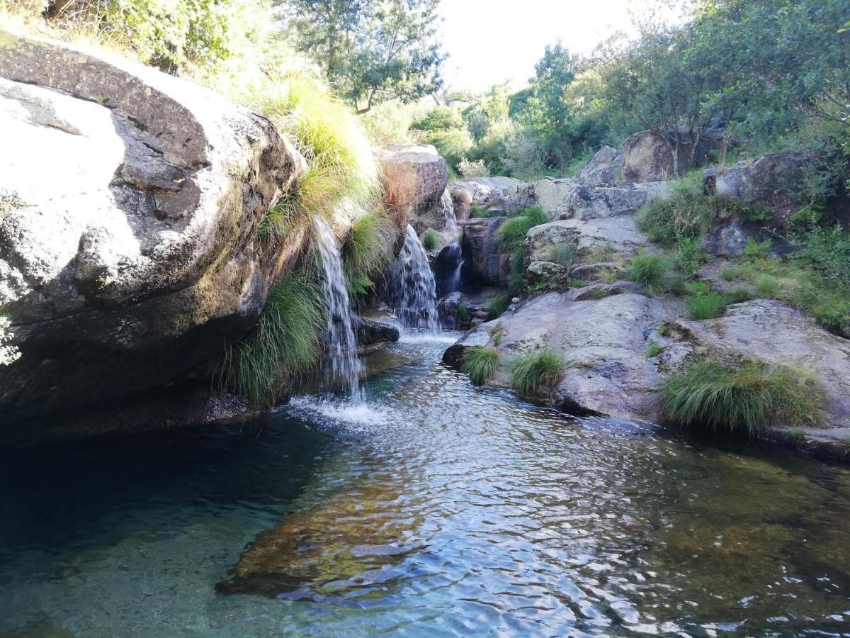 Cortes do Meio Casa Do Fundo Do Povo - Serra Da Estrelaヴィラ エクステリア 写真