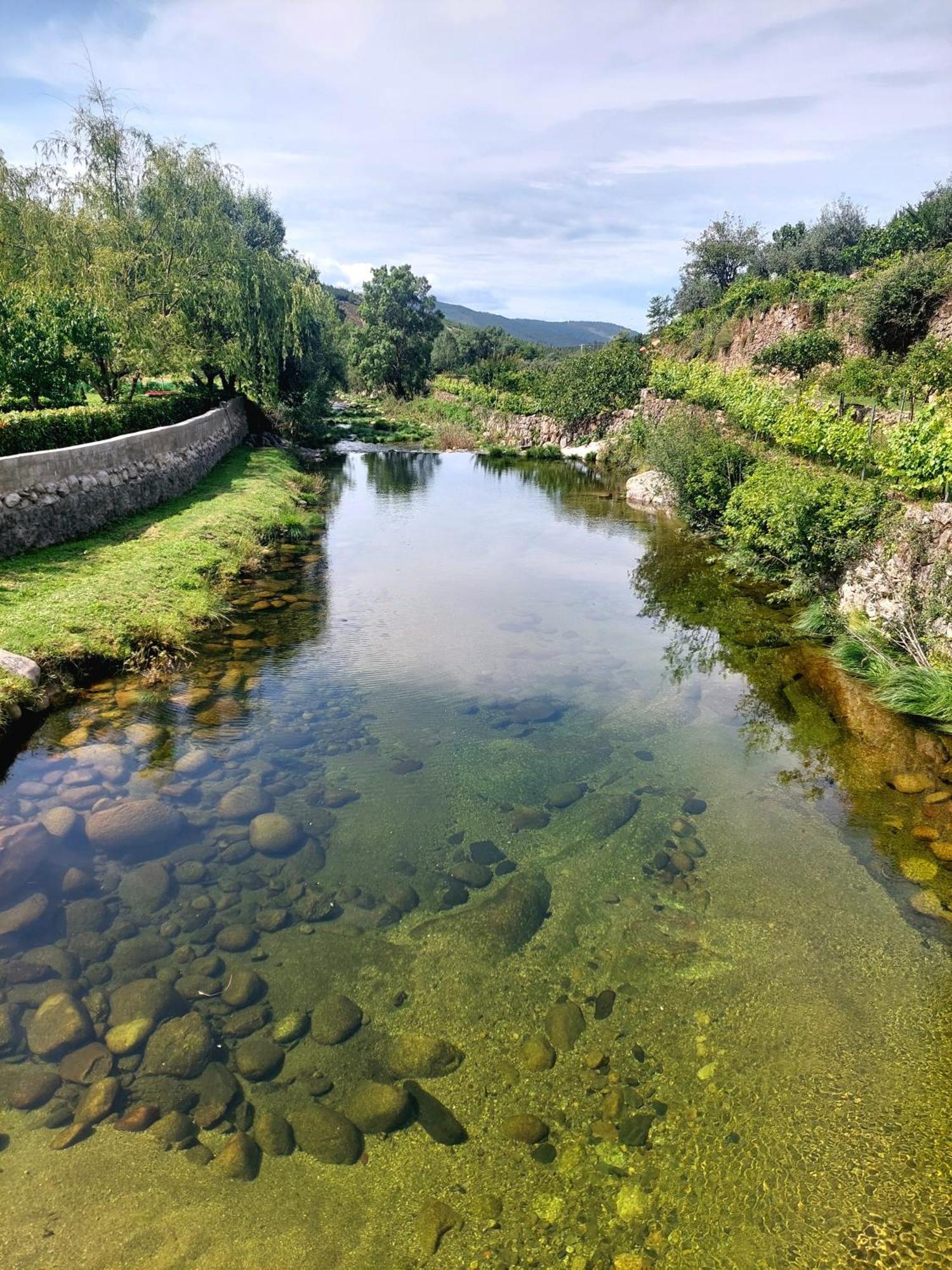 Cortes do Meio Casa Do Fundo Do Povo - Serra Da Estrelaヴィラ エクステリア 写真